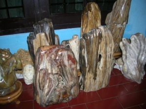 kayu fosil